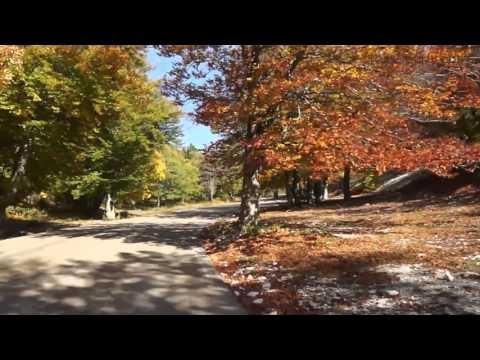 Couleurs d'Automne Mont Ventoux