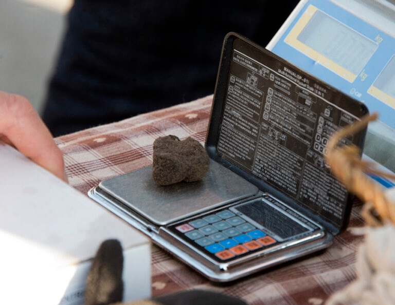 Truffes Carpentras_3