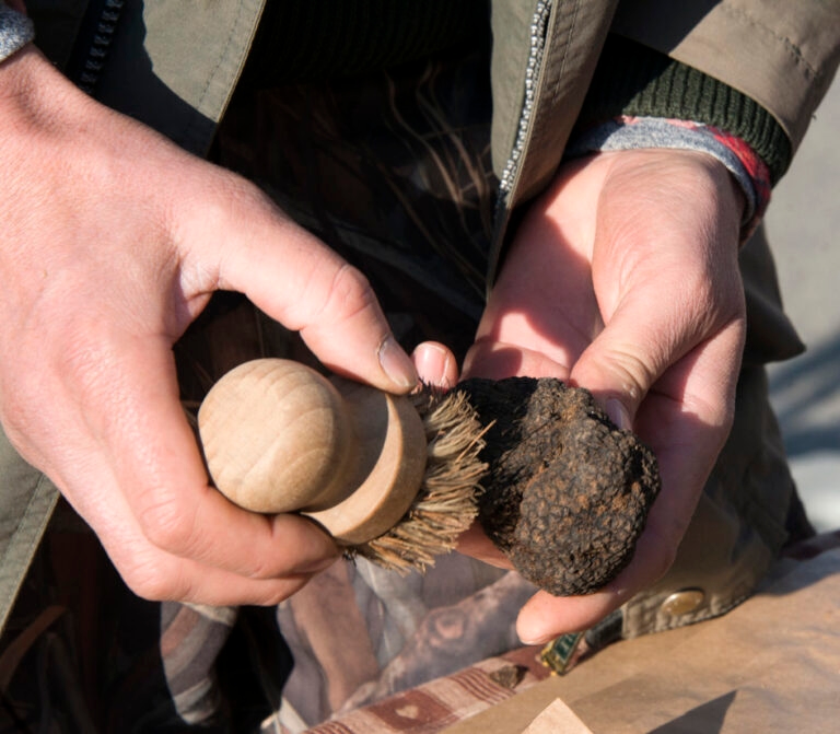 Truffes Carpentras_5