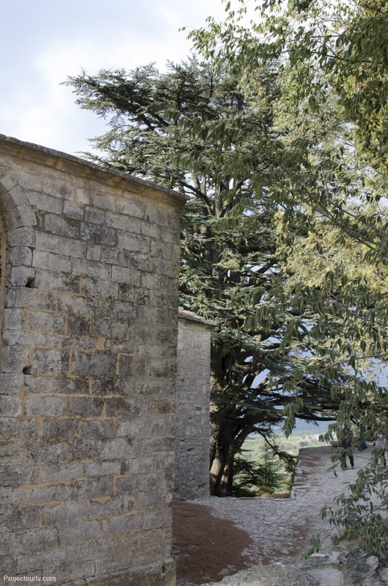 Bonnieux_18