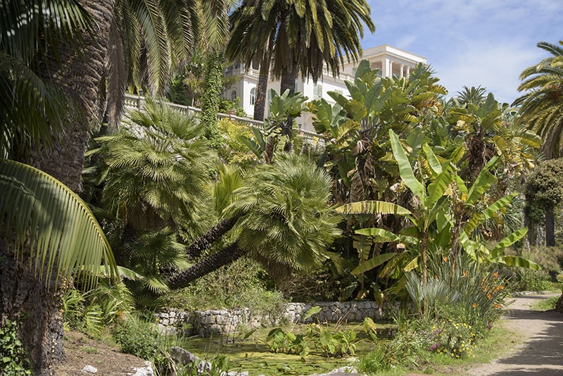 maria serena jardin villa blanche belle epoque especes vegetales menton