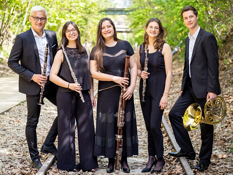 ensemble singuliers musique de chambre francaise groupe