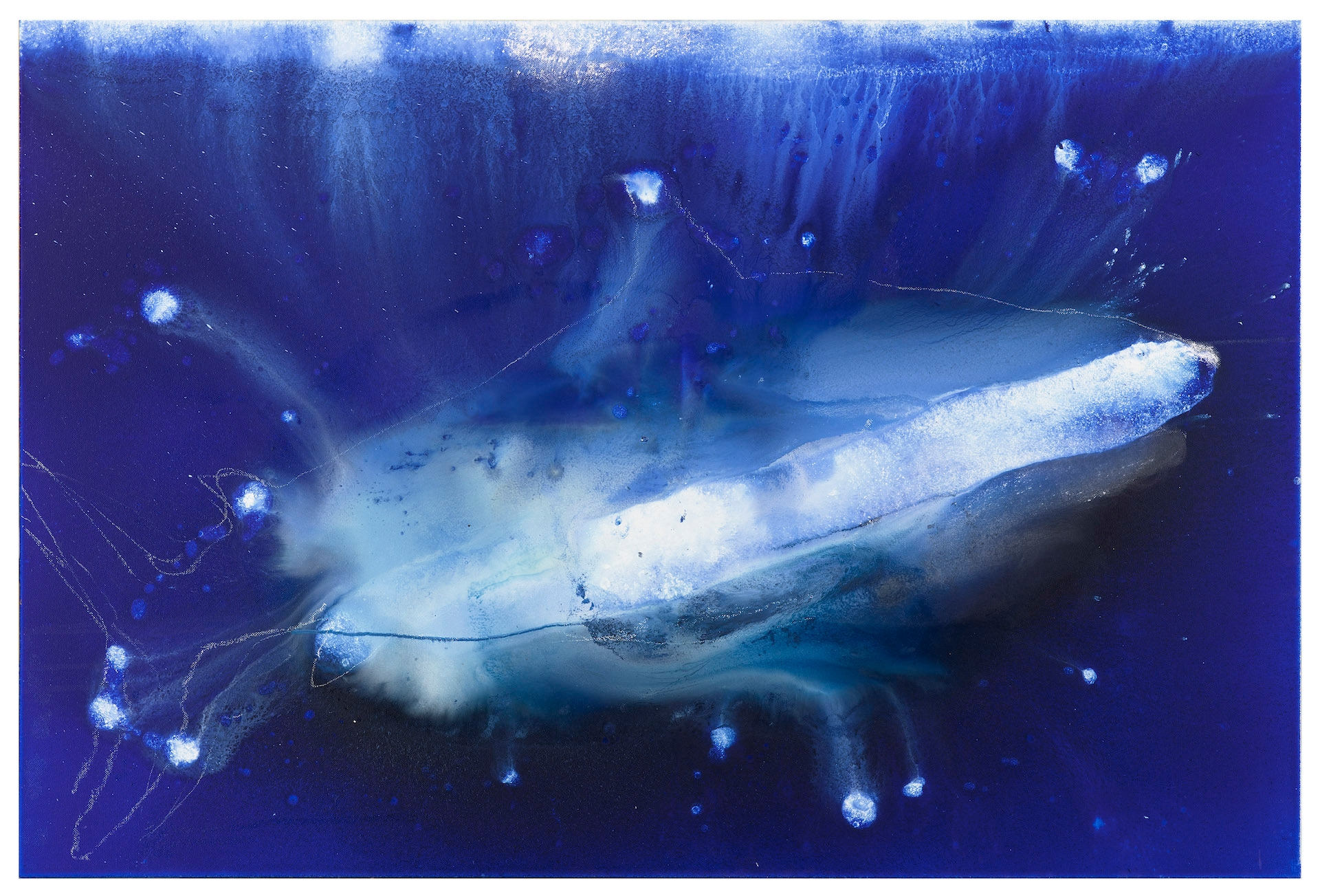 Exposition Miquel Barcelo _Requin NMNM monaco art contemporain