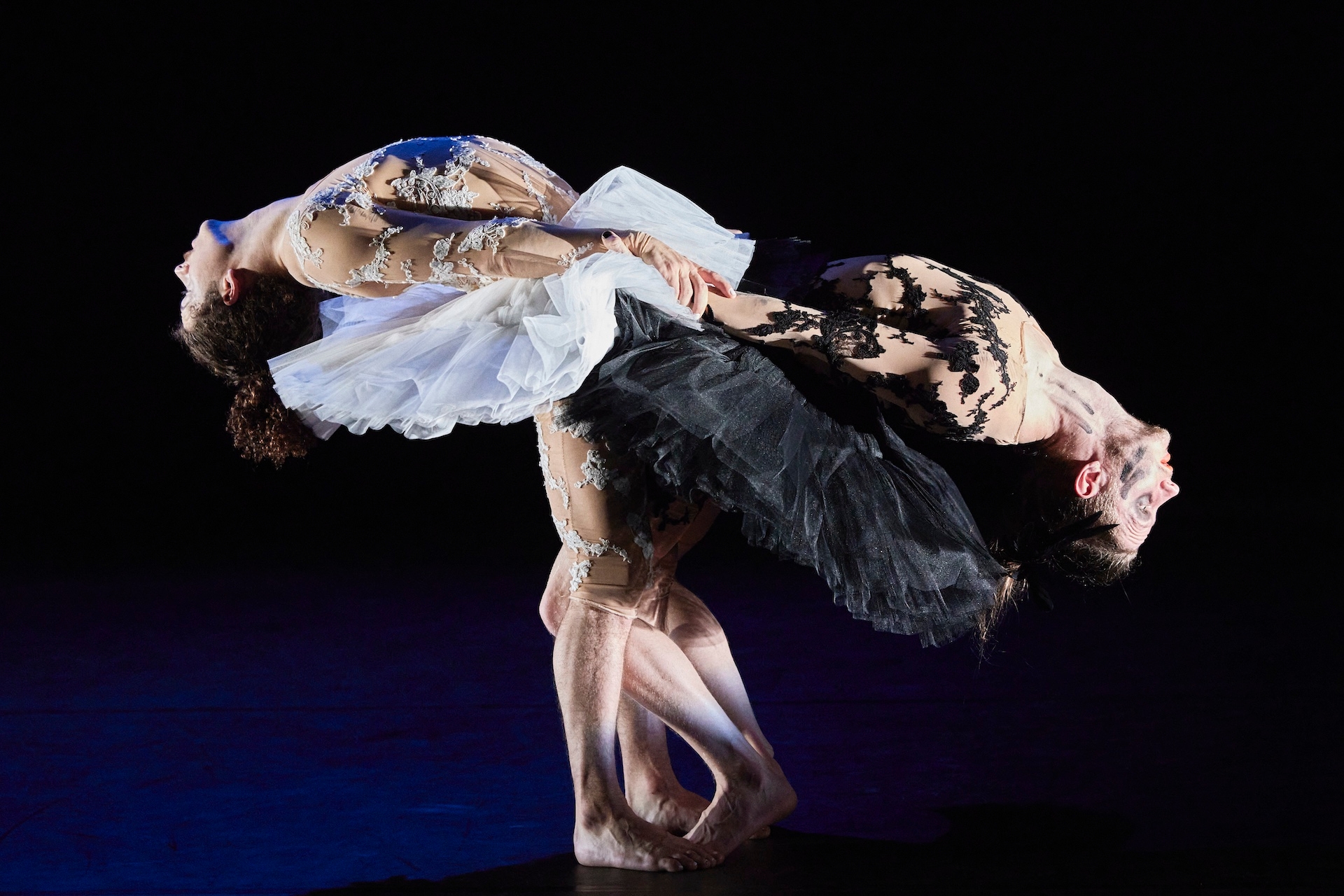 lac des cygnes Alpilium 2025 2026 programme spectacle